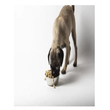 Dr. Marty Nature's Blend Small Breed Freeze Dried Raw Dog Food