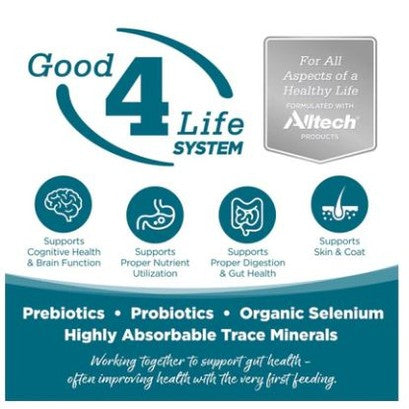 NutriSource Adult Chicken & Rice Dry Dog Food