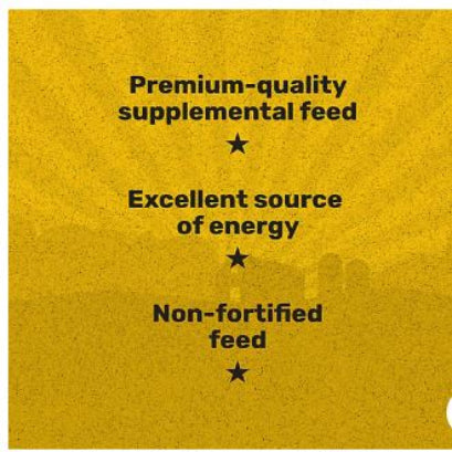 Producer's Pride Whole Corn Grains Cattle Feed, 50 lb. Bag