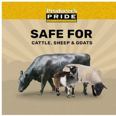 Producer's Pride Whole Corn Grains Cattle Feed, 50 lb. Bag