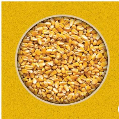 Producer's Pride Whole Corn Grains Cattle Feed, 50 lb. Bag